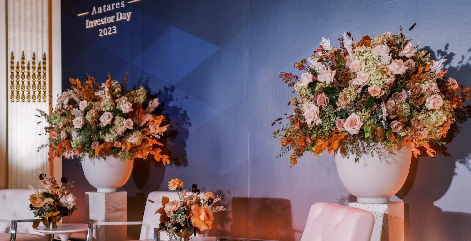 Larry Walshe Studios